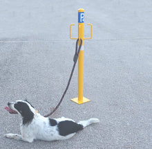 Φόρτωση εικόνας στο εργαλείο προβολής Συλλογής, κολώνα καταστήματος κατοικιδίων με σκυλάκι δεμένο