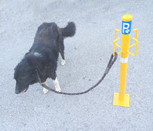Φόρτωση εικόνας στο εργαλείο προβολής Συλλογής, PARKING DOG