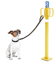 Φόρτωση εικόνας στο εργαλείο προβολής Συλλογής, κολονα σκυλου