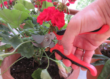 Φόρτωση εικόνας στο εργαλείο προβολής Συλλογής, Σετ εργαλείων κηπουρικής κλαδευτήρι με θήκη_Εφαρμογή1