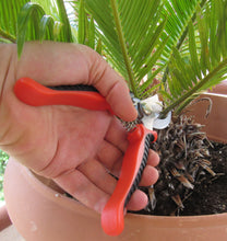 Φόρτωση εικόνας στο εργαλείο προβολής Συλλογής, Σετ εργαλείων κηπουρικής κλαδευτήρι με θήκη_Εφαρμογή